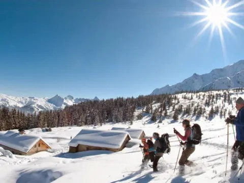 Alpine Lodge 9