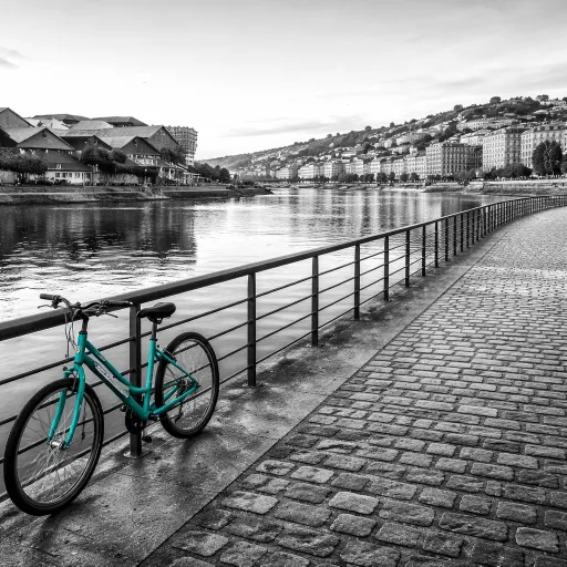 Lyon en 2 jours : le parcours d'initié, Croix-Rousse et Confluence comprises, sans Vieux Lyon bondé
