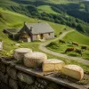 Fromages d'alpage en été : la route des burons du Cantal et les fromageries qui ouvrent pendant la transhumance